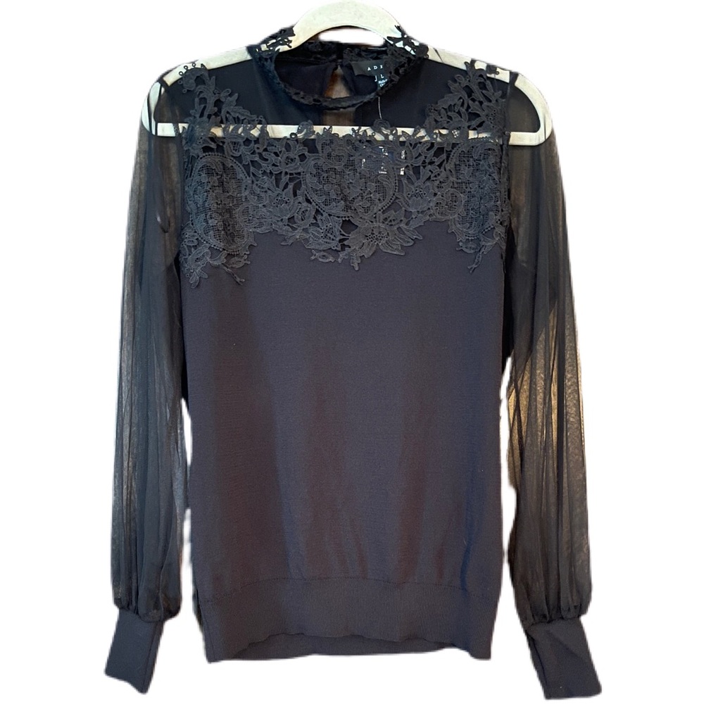 NTW Sheer & Lace Top